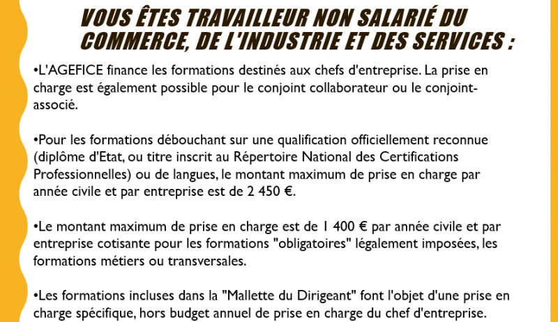 Vous êtes travailleur non salarié ?